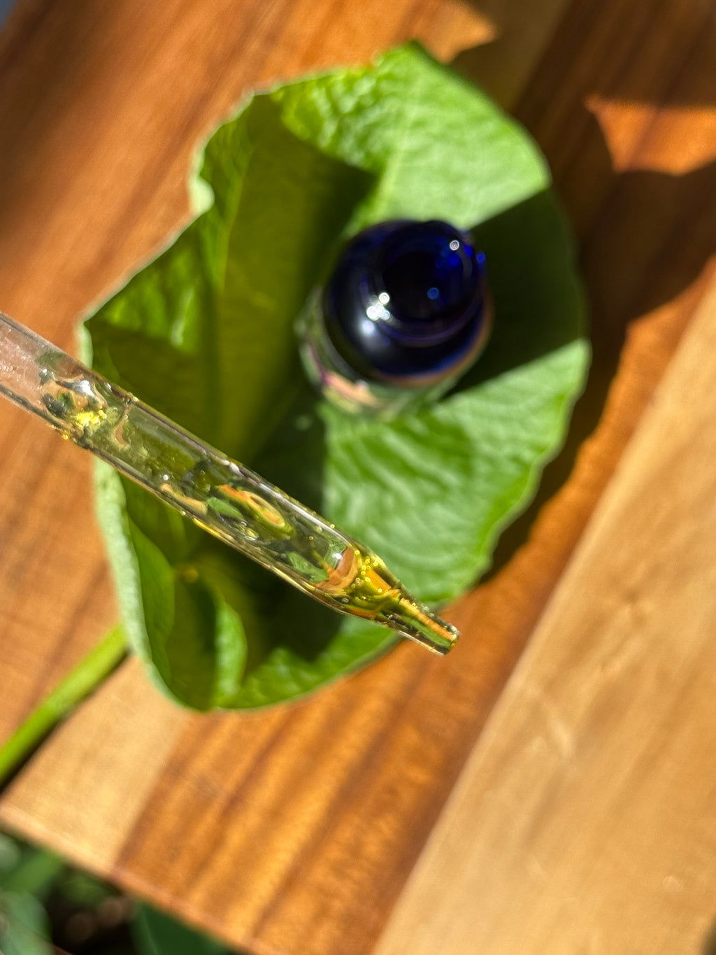 Cuticle Oil